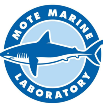Mote Marine Laboratory Shark Logo