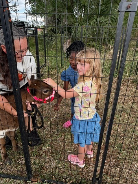 Two young girls petting a baby cow.