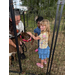  Two young girls petting a baby cow. 